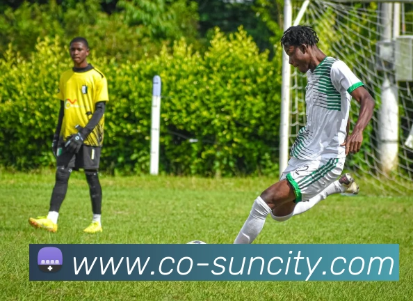 太阳城网站平台生态图